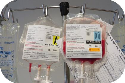 Cord Blood Donor Bags